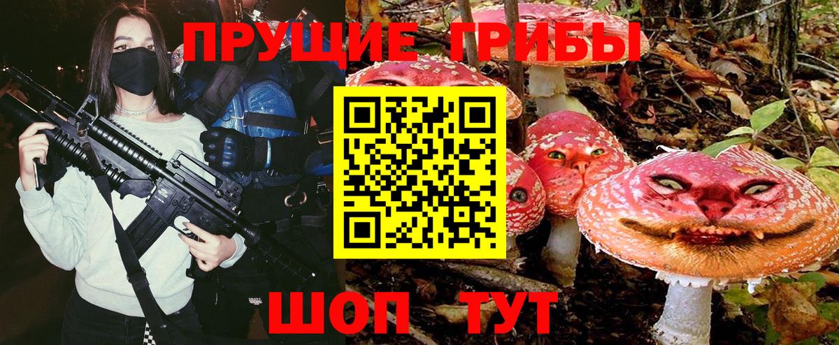 Псилоцибиновые грибы Cubensis Выборг